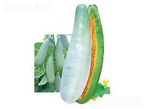 �����-��ϷN��-��(y��u)���r(n��ng)�I(y��)