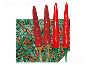 ���G-�����N��-��(y��u)���r(n��ng)�I(y��)