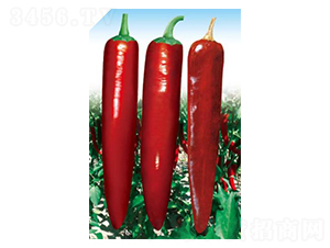 ����-�����N��-��(y��u)���r(n��ng)�I(y��)