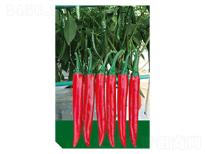 �A��168-�����N��-��(y��u)���r(n��ng)�I(y��)