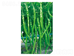 ����66-�����N��-��(y��u)���r(n��ng)�I(y��)