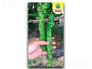 ���L����-�����N��-��(y��u)���r(n��ng)�I(y��)