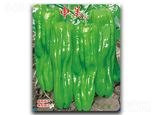 ����-�����N��-��(y��u)���r(n��ng)�I(y��)