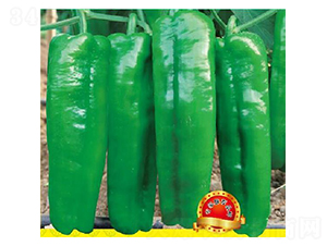 �n��(y��u)8̖-�����N��-��(y��u)���r(n��ng)�I(y��)