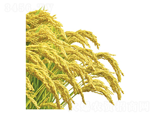 �ǹ��-ˮ���N��-���S�N�I(y��)