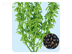 ���һ̖(h��o)-�ڶ��N��-���S�N�I(y��)