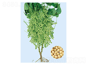 �|��21-�󶹷N��-���S�N�I(y��)