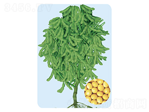 �|��39-�󶹷N��-���S�N�I(y��)