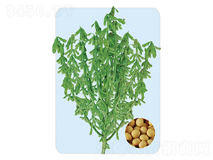 ���S45-�󶹷N��-���S�N�I(y��)