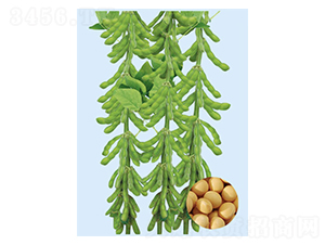 ������һ̖-�󶹷N��-���S�N�I(y��)