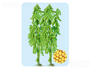 �F��82-�󶹷N��-���S�N�I(y��)