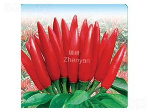 ����(qi��ng)8̖(h��o)-���콷�N��-�(zh��n)�зN�I(y��)