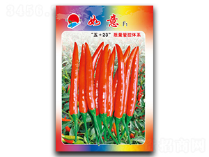 ����-���콷�N��-�(zh��n)�зN�I(y��)