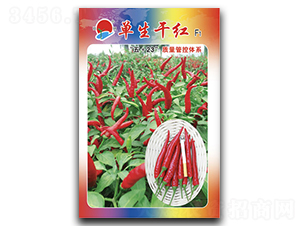 �����ɼt-���콷�N��-�(zh��n)�зN�I(y��)