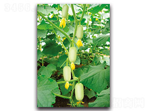 ��Ů-�S�ϷN��-���ʵ�