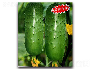 ��G-�S�ϷN��-���ʵ�