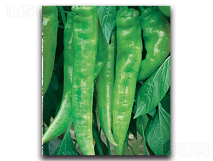 ����-�����N��-���ʵ�