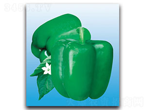 �W�ɿ�2̖-�𽷷N��-���ʵ�