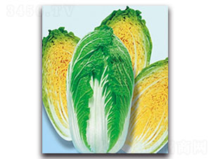 �½�4̖(h��o)-��ײ˷N��-���ʵ�(l��)