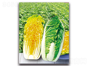 �½�2̖-��ײ˷N��-���ʵ�