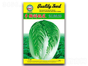 ��˺��偲�-�ײ˷N��-����