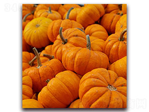 �ϹϷN��-�ȃ�(y��u)�_