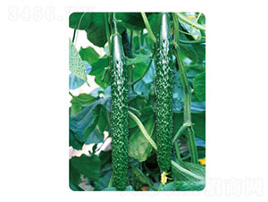 �ȃ�(y��u)L30-�S�ϷN��-�ȃ�(y��u)�_(d��)