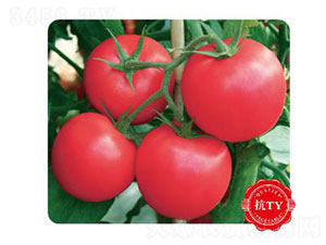 �ȃ�(y��u)1401-���ѷN��-�ȃ�(y��u)�_