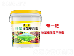 �������ך���-��һ��-�����