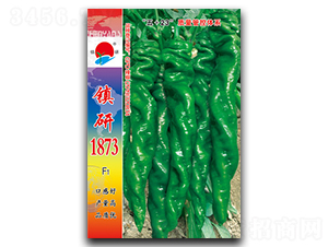 �(zh��n)��1873-�ݽz���N��-�(zh��n)�зN�I(y��)