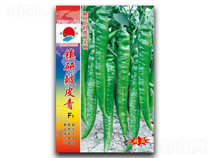 �(zh��n)�а�Ƥ��-�⽷�N��-�(zh��n)�зN�I(y��)