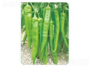 �(zh��n)����̖(h��o)-�⽷�N��-�(zh��n)�зN�I(y��)