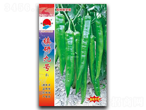 �(zh��n)�о�̖(h��o)-�⽷�N��-�(zh��n)�зN�I(y��)