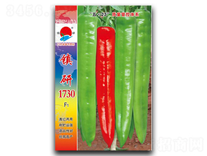 �(zh��n)��1730-�⽷�N��-�(zh��n)�зN�I(y��)