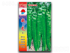 ����-�⽷�N��-�(zh��n)�зN�I(y��)