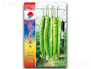 �������-�⽷�N��-�(zh��n)�зN�I(y��)