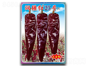 �����t25̖-�����N��-�(zh��n)�зN�I(y��)