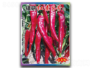 �t��8̖-�����N��-�(zh��n)�зN�I(y��)