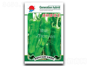 �(zh��n)��¶����-�ݽ��N��-�(zh��n)�зN�I(y��)