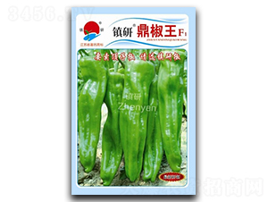 �(zh��n)�ж�����-�ݽ��N��-�(zh��n)�зN�I(y��)