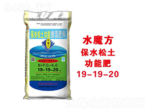 ��ˮ�������ܷ�19-19-20-ˮħ��-�����