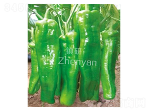 �ޟo����̖-�ݽ��N��-�(zh��n)�зN�I(y��)