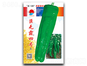 �ޟo����̖-�ݽ��N��-�(zh��n)�зN�I(y��)