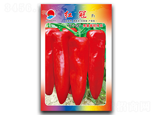 �t��-�ݽ��N��-�(zh��n)�зN�I(y��)