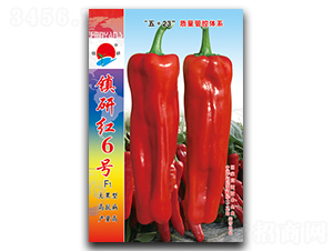 �(zh��n)�мt6̖-�ݽ��N��-�(zh��n)�зN�I(y��)