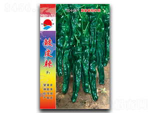 �(zh��n)�а�Ƥ��-�ݽ��N��-�(zh��n)�зN�I(y��)