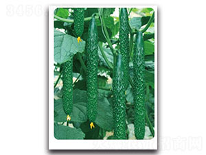 �ȃ�(y��u)-W50-�S�ϷN��-�ȃ�(y��u)�_(d��)