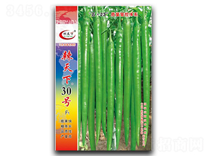 ������30̖-�����N��-�(zh��n)�зN�I(y��)