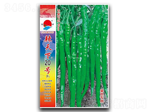 ������20̖-�����N��-�(zh��n)�зN�I(y��)