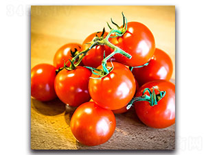 ���t���N��-�ȃ�(y��u)�_